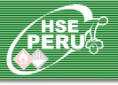 HSE PERU S.A.